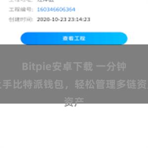 Bitpie安卓下载 一分钟上手比特派钱包，轻松管理多链资产