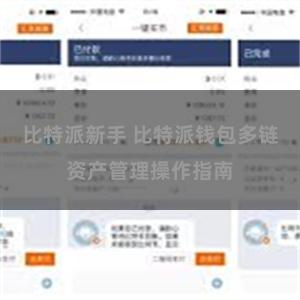 比特派新手 比特派钱包多链资产管理操作指南