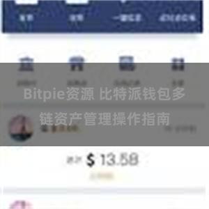 Bitpie资源 比特派钱包多链资产管理操作指南