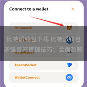 比特派钱包下载 比特派钱包多链资产管理技巧：全面攻略