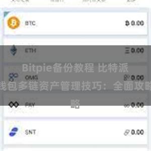 Bitpie备份教程 比特派钱包多链资产管理技巧：全面攻略