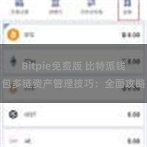 Bitpie免费版 比特派钱包多链资产管理技巧：全面攻略