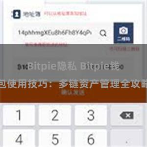 Bitpie隐私 Bitpie钱包使用技巧：多链资产管理全攻略