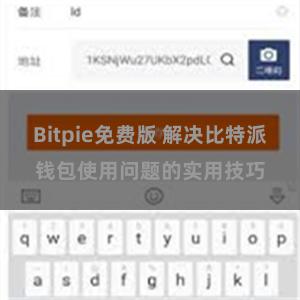 Bitpie免费版 解决比特派钱包使用问题的实用技巧