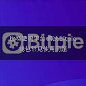 比特派跨平台 解决Bitpie钱包常见使用问题