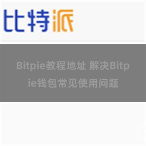 Bitpie教程地址 解决Bitpie钱包常见使用问题