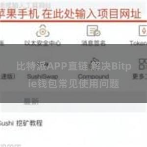 比特派APP直链 解决Bitpie钱包常见使用问题