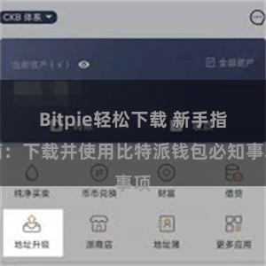 Bitpie轻松下载 新手指南：下载并使用比特派钱包必知事项