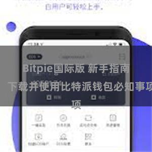 Bitpie国际版 新手指南：下载并使用比特派钱包必知事项