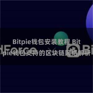 Bitpie钱包安装教程 Bitpie钱包支持的区块链网络解析