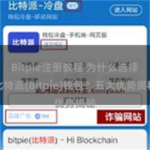 Bitpie注册教程 为什么选择比特派(Bitpie)钱包？五大优势揭秘