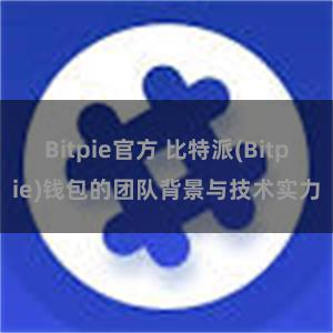 Bitpie官方 比特派(Bitpie)钱包的团队背景与技术实力