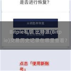 Bitpie私钥 比特派(Bitpie)交易历史记录在哪里查看？