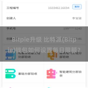 Bitpie升级 比特派(Bitpie)钱包如何设置每日限额？