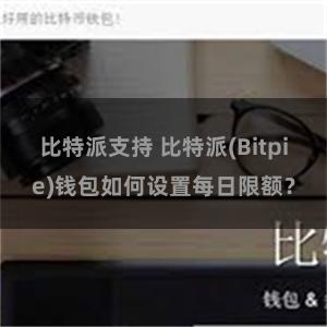 比特派支持 比特派(Bitpie)钱包如何设置每日限额？