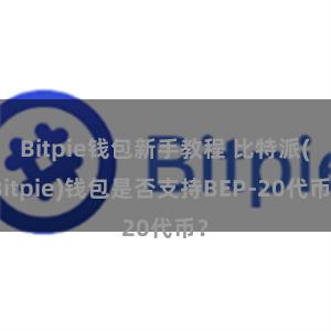 Bitpie钱包新手教程 比特派(Bitpie)钱包是否支持BEP-20代币？