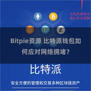 Bitpie资源 比特派钱包如何应对网络拥堵？