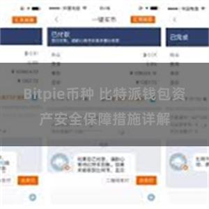 Bitpie币种 比特派钱包资产安全保障措施详解