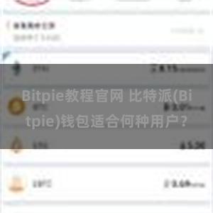 Bitpie教程官网 比特派(Bitpie)钱包适合何种用户？