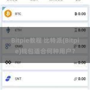 Bitpie教程 比特派(Bitpie)钱包适合何种用户？