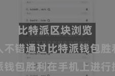 比特派区块浏览  用户王人不错通过比特派钱包胜利在手机上进行操作