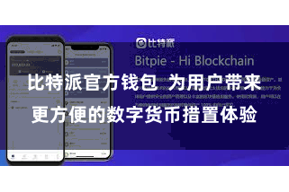 比特派官方钱包  为用户带来更方便的数字货币措置体验
