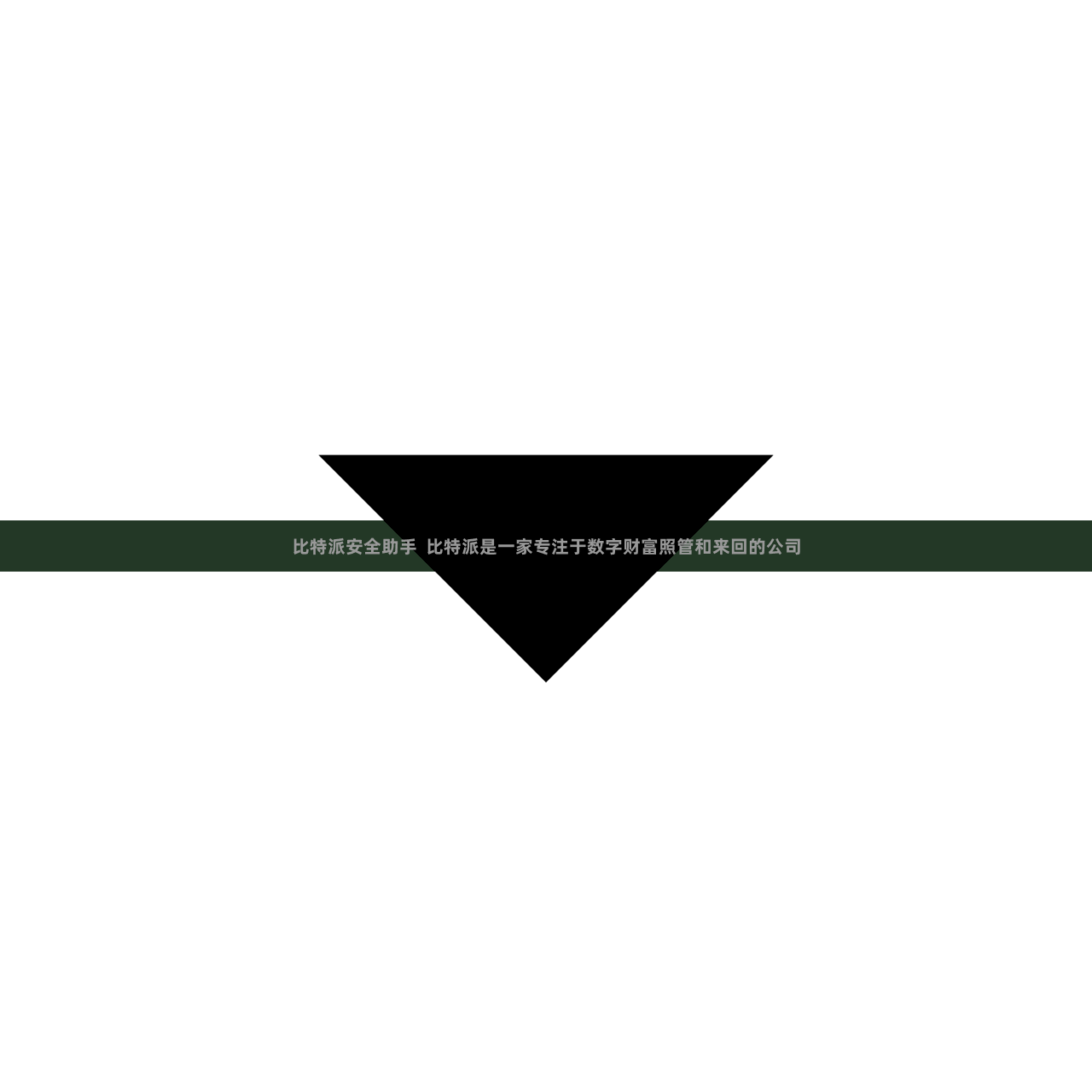 比特派安全助手  比特派是一家专注于数字财富照管和来回的公司